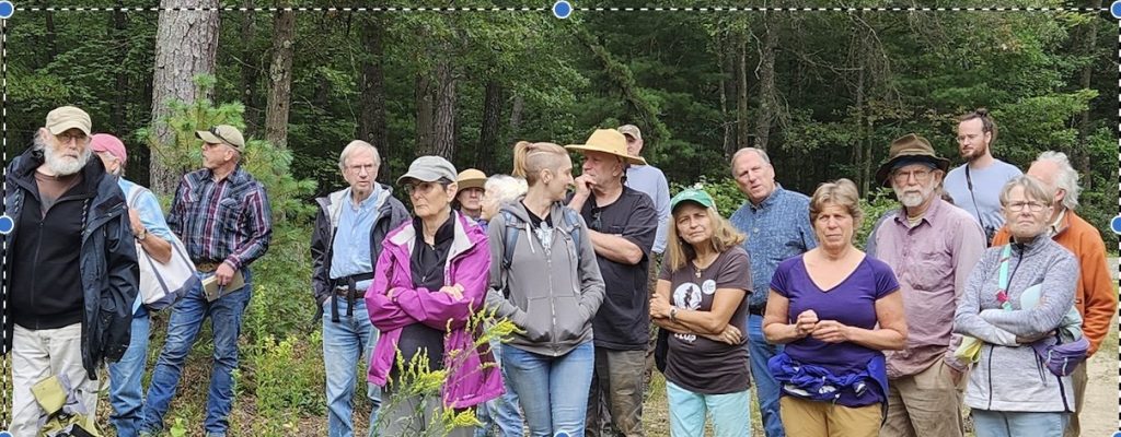 photo shows a group of walkers in a forest clearing