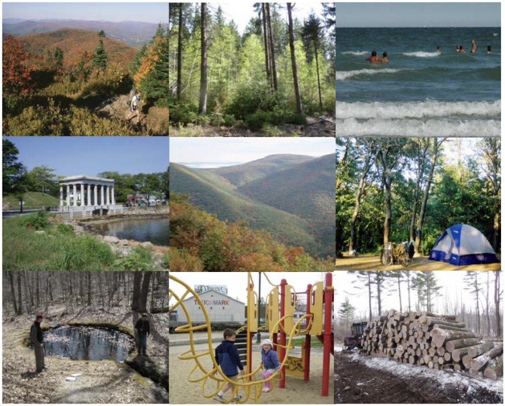 9 images of MA properties of DCR in a 3/3 grid